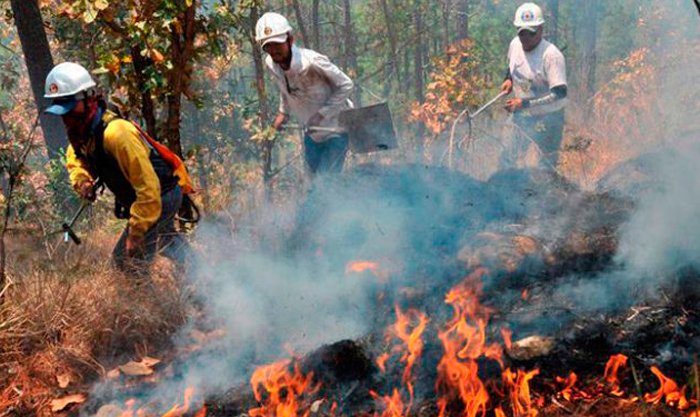AMDC declara alerta amarilla por incendios forestales en los sectores de El Reventón, Tablón de Zelaya y Corralitos
