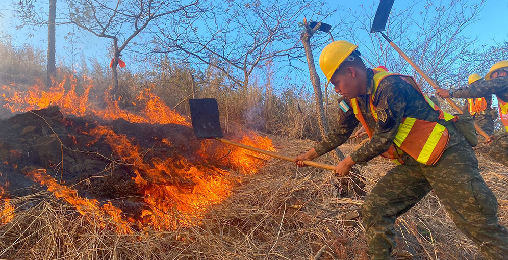 Despliegan más de 250 soldados para combatir incendios forestales en Francisco Morazán