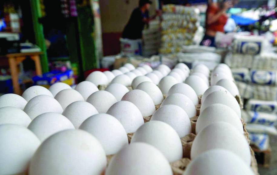Estabilidad en el precio del huevo beneficia a los consumidores en Tegucigalpa